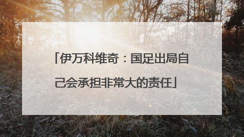 伊万科维奇：国足出局自己会承担非常大的责任