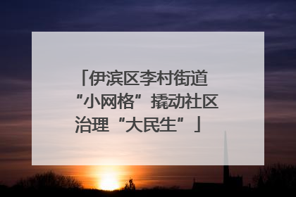伊滨区李村街道 “小网格”撬动社区治理“大民生”