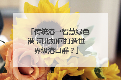 传统港→智慧绿色港 河北如何打造世界级港口群？
