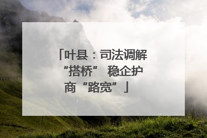 叶县：司法调解“搭桥” 稳企护商“路宽”