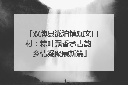双牌县泷泊镇观文口村：粽叶飘香承古韵 乡情凝聚展新篇