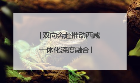 双向奔赴推动西咸一体化深度融合