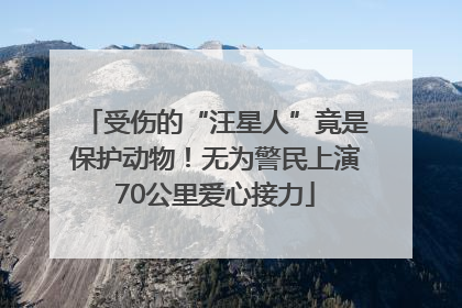 受伤的“汪星人”竟是保护动物！无为警民上演70公里爱心接力