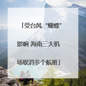 受台风“蝴蝶”影响 海南三大机场取消多个航班