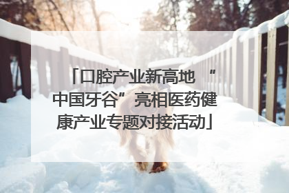 口腔产业新高地 “中国牙谷”亮相医药健康产业专题对接活动