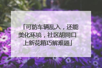 可防车辆乱入，还能美化环境，社区胡同口上新花箱巧解难题