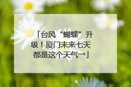 台风“蝴蝶”升级！厦门未来七天都是这个天气→