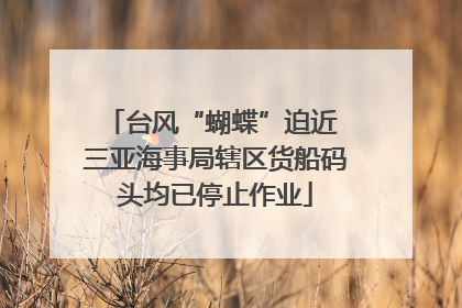 台风“蝴蝶”迫近 三亚海事局辖区货船码头均已停止作业