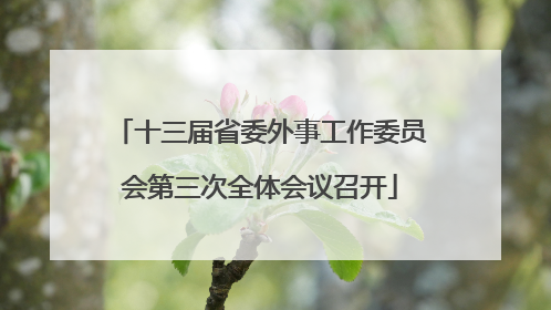 十三届省委外事工作委员会第三次全体会议召开