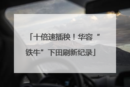 十倍速插秧！华容“铁牛”下田刷新纪录