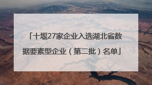 十堰27家企业入选湖北省数据要素型企业（第二批）名单