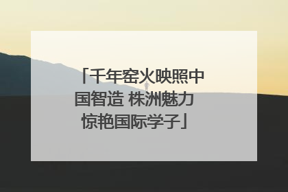 千年窑火映照中国智造 株洲魅力惊艳国际学子