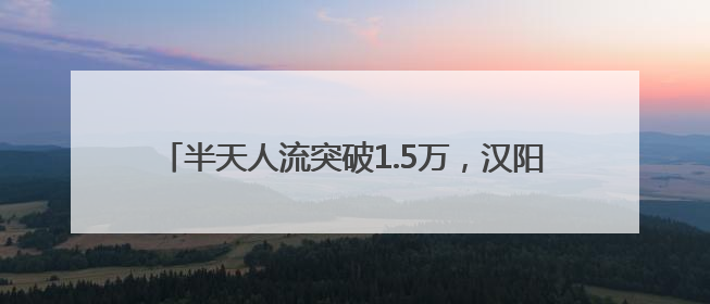 半天人流突破1.5万，汉阳恒达欢乐世界开业人气爆棚