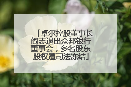 卓尔控股董事长阎志退出众邦银行董事会，多名股东股权遭司法冻结