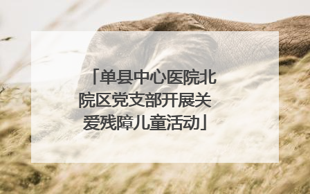 单县中心医院北院区党支部开展关爱残障儿童活动