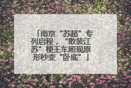 南京“苏超”专列启程，“散装江苏”梗王车厢现原形秒变“卧底”