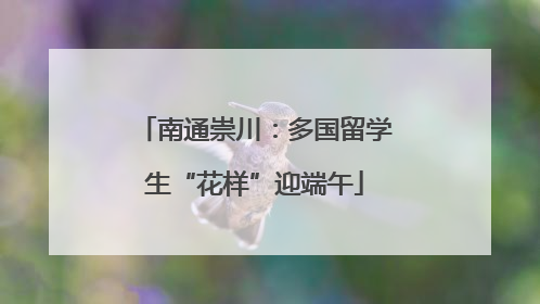 南通崇川：多国留学生“花样”迎端午