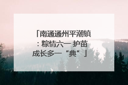 南通通州平潮镇：粽情六一 护苗成长多一“典”