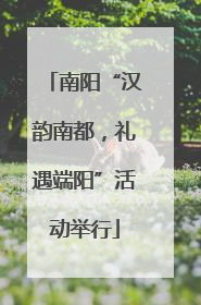 南阳“汉韵南都，礼遇端阳”活动举行