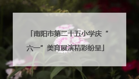 南阳市第二十五小学庆“六一”美育展演精彩纷呈