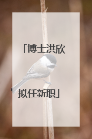 博士洪欣拟任新职