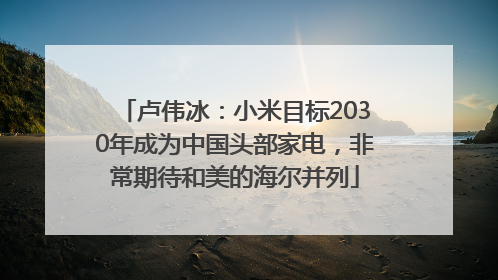 卢伟冰：小米目标2030年成为中国头部家电，非常期待和美的海尔并列