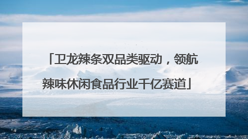 卫龙辣条双品类驱动，领航辣味休闲食品行业千亿赛道