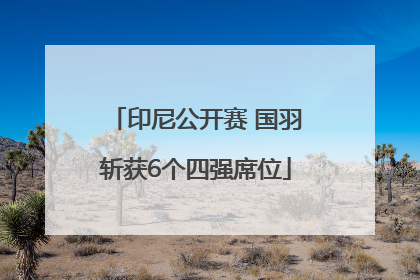 印尼公开赛 国羽斩获6个四强席位