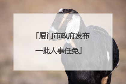 厦门市政府发布一批人事任免