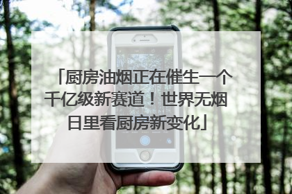 厨房油烟正在催生一个千亿级新赛道！世界无烟日里看厨房新变化