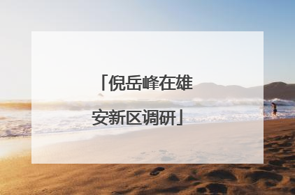 倪岳峰在雄安新区调研