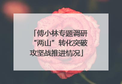傅小林专题调研“两山”转化突破攻坚战推进情况