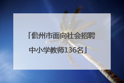 儋州市面向社会招聘中小学教师136名