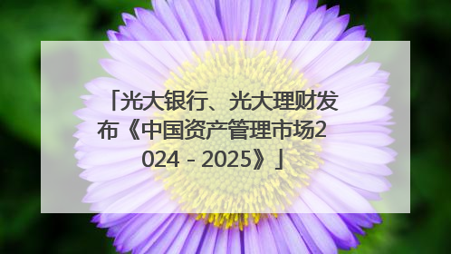 光大银行、光大理财发布《中国资产管理市场2024－2025》