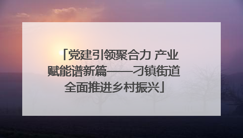 党建引领聚合力 产业赋能谱新篇——刁镇街道全面推进乡村振兴