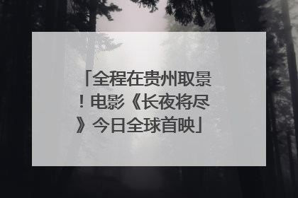 全程在贵州取景！电影《长夜将尽》今日全球首映