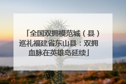全国双拥模范城（县）巡礼福建省东山县：双拥血脉在英雄岛延续