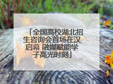 全国高校湖北招生咨询会首场在汉启幕 融媒赋能学子高光时刻