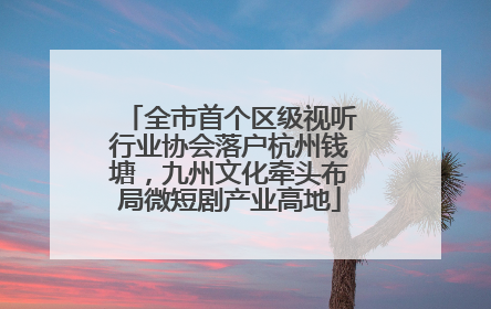 全市首个区级视听行业协会落户杭州钱塘，九州文化牵头布局微短剧产业高地