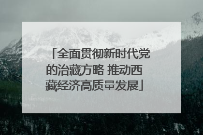 全面贯彻新时代党的治藏方略 推动西藏经济高质量发展