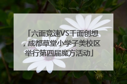 六面竞速VS千面创想，成都草堂小学子美校区举行第四届魔方活动