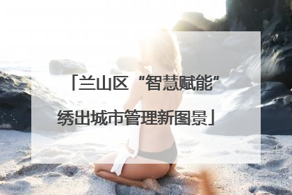 兰山区“智慧赋能”绣出城市管理新图景