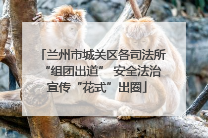兰州市城关区各司法所“组团出道” 安全法治宣传“花式”出圈