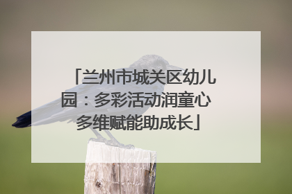 兰州市城关区幼儿园：多彩活动润童心 多维赋能助成长