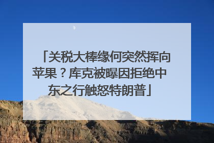 关税大棒缘何突然挥向苹果？库克被曝因拒绝中东之行触怒特朗普