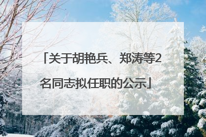 关于胡艳兵、郑涛等2名同志拟任职的公示