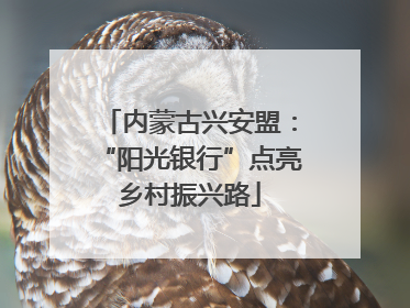内蒙古兴安盟：“阳光银行”点亮乡村振兴路