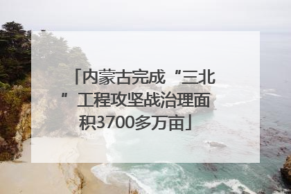内蒙古完成“三北”工程攻坚战治理面积3700多万亩