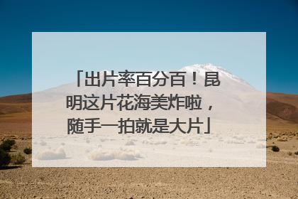 出片率百分百！昆明这片花海美炸啦，随手一拍就是大片