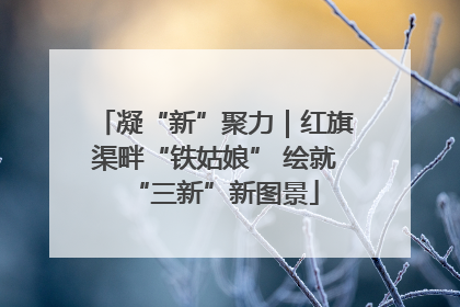 凝“新”聚力｜红旗渠畔“铁姑娘” 绘就“三新”新图景